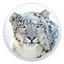 OS X Snow Leopard 10.6.7图标